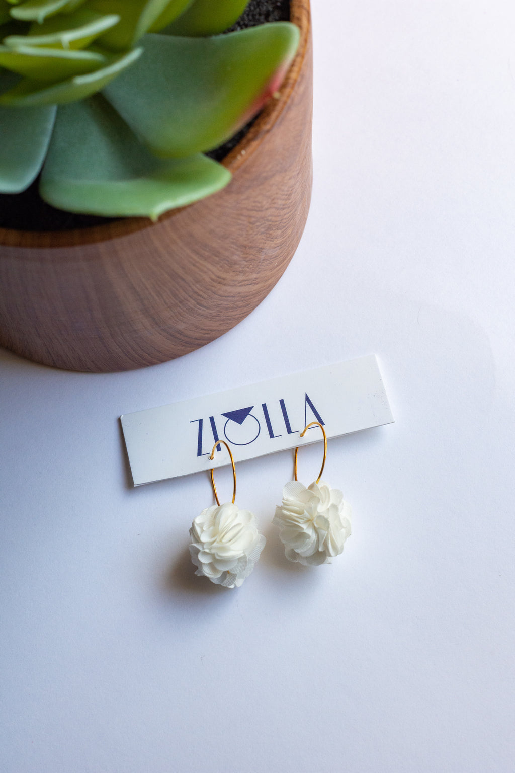 Pair of white pompom earrings on hoops on a white background and a plant pot